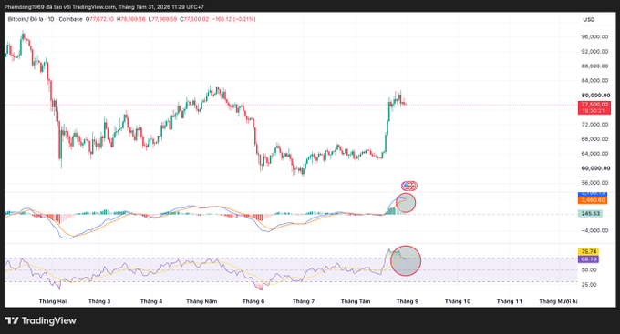 A TradingView Bitcoin (BTC/USD) price chart displayed in Vietnamese, showing a recent sharp upward price movement circled in red on both the MACD and RSI indicators.