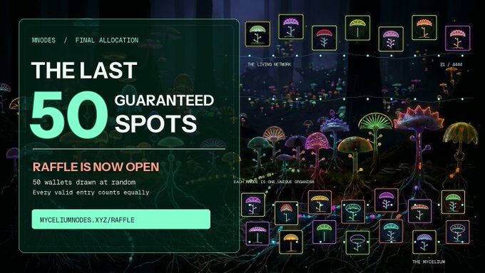 A promotional graphic for Mycelium Nodes announces "THE LAST 50 GUARANTEED SPOTS" with the raffle now open at myceliumnodes.xyz/raffle, featuring colorful mushroom artwork on the right and stating that 50 wallets will be drawn at random where every valid entry counts equally. The accompanying post confirms this final raffle provides 50 extra guaranteed spots after the 222 free mint and 222 guaranteed WL spots filled up, with the 4444 unique Mycelium Nodes minting on September 21st at 6pm CET on OpenSea.