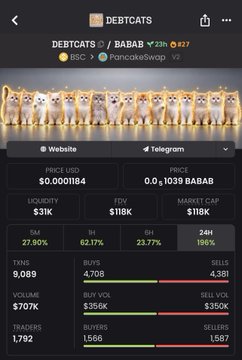 A mobile screenshot of a cryptocurrency tracking app showing DEBTCATS/BABAB token data, with a price of $0.0001184, market cap $118K, and 24H volume of $370K.