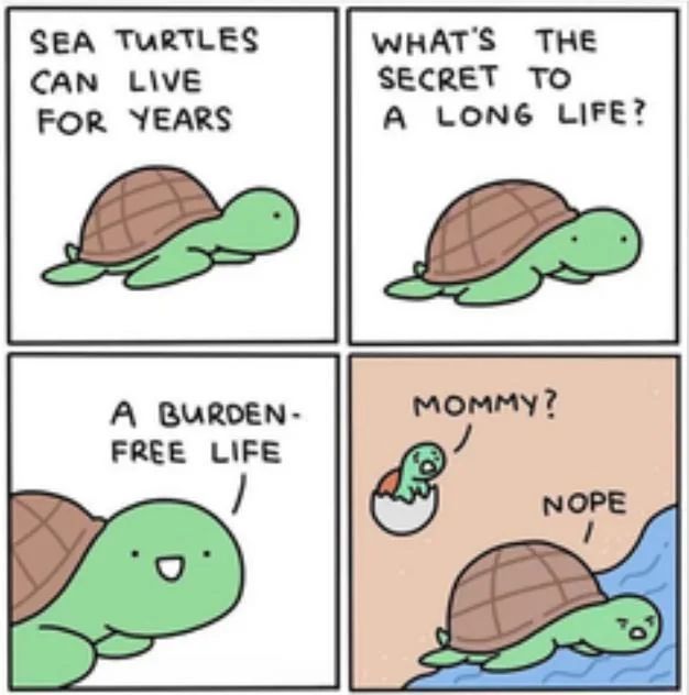 A four-panel cartoon comic shows sea turtles, with text reading 'SEA TURTLES CAN LIVE FOR YEARS,' 'WHAT'S THE SECRET TO A LONG LIFE?,' 'A BURDEN-FREE LIFE,' and a baby turtle calling 'MOMMY?' while the adult replies 'NOPE.'
