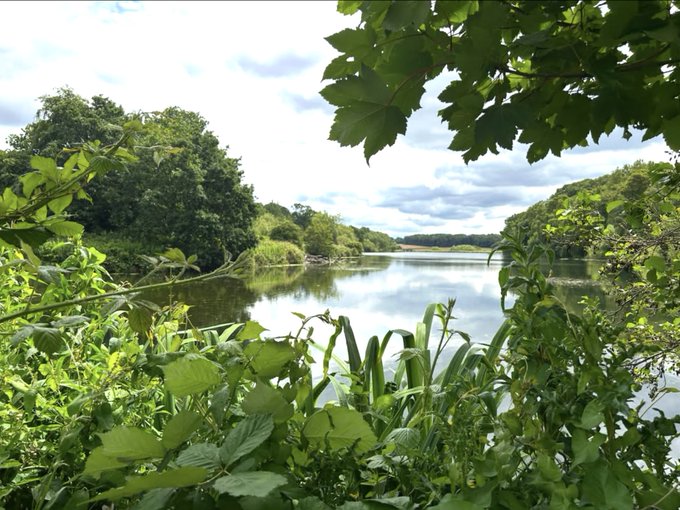 A scenic view of a calm lake surrounded by lush green trees and foliage under a partly cloudy sky.