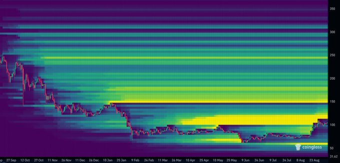 A CoinGlass liquidation heatmap for $SOL displays the price action declining from ~$260 in late September to the ~$50-$80 range by late August, with dense horizontal liquidation bands (yellow zones) concentrated around $100-$150 and $200-$250, visually illustrating the significant downside move from the highs and supporting the post's claim that SOL was heavily undervalued when it was trading near $62, where massive liquidation clusters now sit above current price.