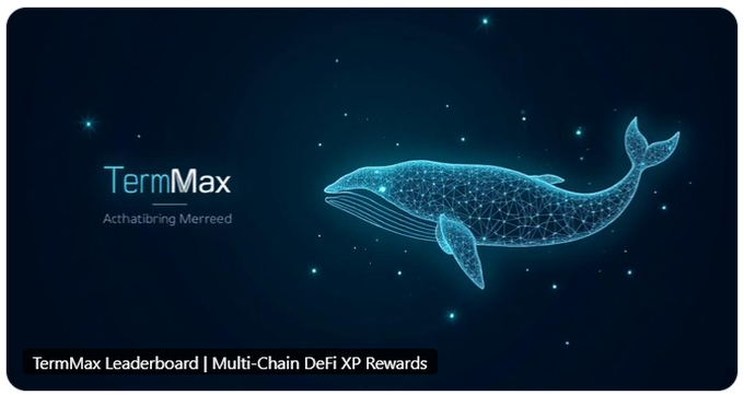 The image features a blue whale with its tail fin visible, swimming through a starry night sky. The whale appears to be moving towards the right side of the image. The background of the image is dark blue, providing a contrast that makes the whale stand out even more. The text "TermMax" and "Morpho" are written in white at the top of the image, while the phrase "买流动性" is written below it.