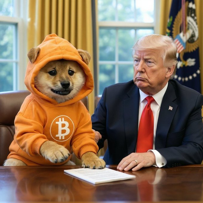 A digitally altered image showing a dog wearing an orange hoodie with a Bitcoin logo, sitting next to Donald Trump at the Resolute Desk in the Oval Office.