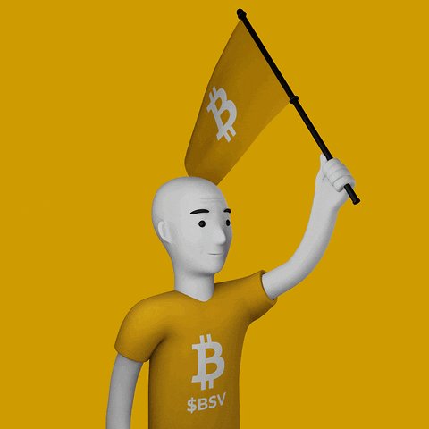 The image features a cartoon character, likely a man or a boy, wearing a yellow shirt that says "BSV" on it. The character is holding up a Bitcoin flag, which has a white Bitcoin symbol on it. The background of the image is yellow, and there are some text elements in the bottom right corner of the image.