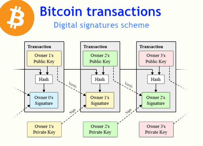 An educational infographic titled 'Bitcoin transactions: Digital signatures scheme,' illustrating a flow diagram with three transaction blocks linking Owner 1, Owner 2, and Owner 3 public keys, hashes, signatures, and private keys.