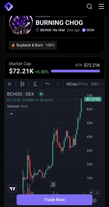 A mobile trading app screen showing the token 'BURNING CHOG' (ticker $BCHOG) with a market cap of $72.21K, a 6.88% gain, an ATH of $72.21K, and a 'Buyback & Burn 100%' label above a candlestick price chart.
