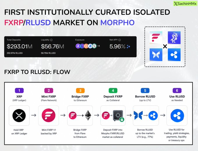 Financial infographic titled 'FIRST INSTITUTIONALLY CURATED ISOLATED FXRP/RLUSD MARKET ON MORPHO' showing $293.01M total deposits, $56.76M liquidity, 5.96% Net APY, and a 6-step flow diagram explaining how to convert XRP to RLUSD.