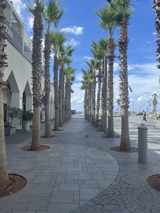 A paved walkway lined with tall palm trees leads toward the ocean under a bright blue sky, with modern buildings on the left.