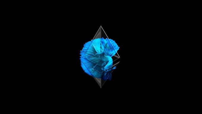 A bright blue betta fish viewed through a geometric, faceted lens or diamond-like shape against a solid black background.