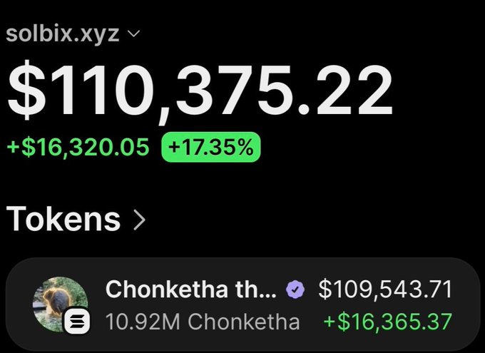 A screenshot of the solbix.xyz portfolio tracker shows a wallet valued at $110,375.22 with a +$16,320.05 (+17.35%) gain, primarily driven by a holding of 10.92M Chonketha tokens worth $109,543.71, supporting the post's claim of realizing a ~322x return on a $305 investment in $Chonketha.