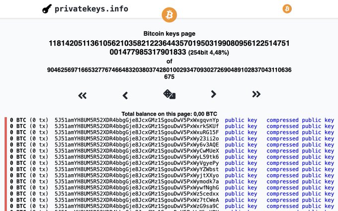 A screenshot from privatekeys.info displays a Bitcoin puzzle page showing 254-bit private keys with a balance of 0.00 BTC, featuring rows of hexadecimal addresses (5J51amYHBUM5R2XDR4bbgje8JcxGMz15gouDwV5PxWqgvnYp, etc.) and links to public and compressed public keys, illustrating the seemingly impossible task of finding one of 115 quadrillion keys that holds actual Bitcoin.