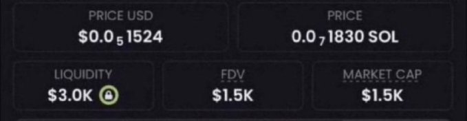 Screenshot of a cryptocurrency token metrics display showing Price USD at $0.0₅1524, Price at 0.0₇1830 SOL, Liquidity at $3.0K, FDV at $1.5K, and Market Cap at $1.5K.