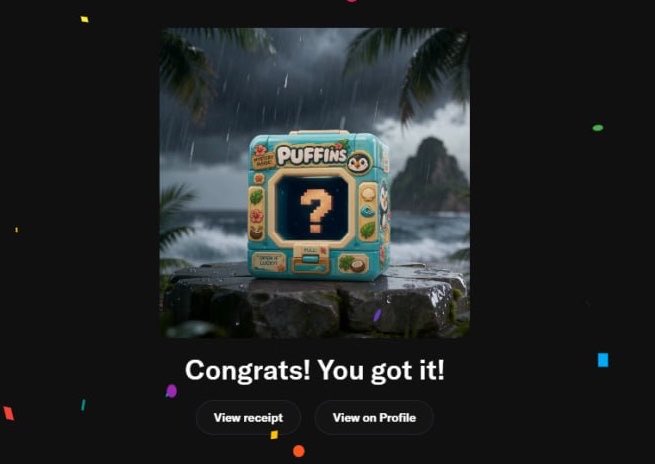 A digital receipt-style graphic showing a mystery 'PUFFINS' box with a question mark on a rainy beach background, reading 'Congrats! You got it!'