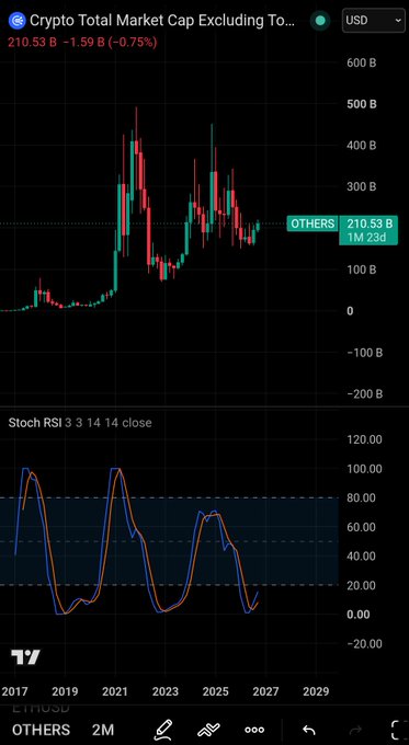 A financial chart titled 'Crypto Total Market Cap Excluding To...' showing a value of '210.53 B' with a change of '-1.59 B (-0.75%)' in USD. Below is a 'Stoch RSI 3 3 14 14 close' indicator chart, and 'OTHERS' is visible at the bottom.
