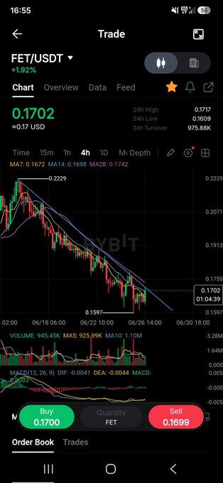 A screenshot of a Bybit trading app showing the FET/USDT chart at $0.1702, down 1.92% with a notable price drop from a recent high around $0.2229. The declining price trend visually reinforces the post's message of patience for $FET holders awaiting a recovery.
