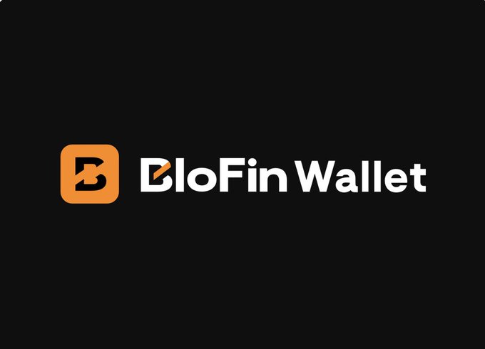 A simple dark graphic displaying the BloFin Wallet logo and branding with an orange square icon.