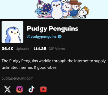 This image shows a social media profile for "Pudgy Penguins" (@pudgypenguins), featuring cartoon penguin characters and stating they have 36.4K uploads and 114.2B GIF views. The image serves as a visual confirmation of the project's massive social media presence, directly relating to the $pengu ticker mentioned in the post.