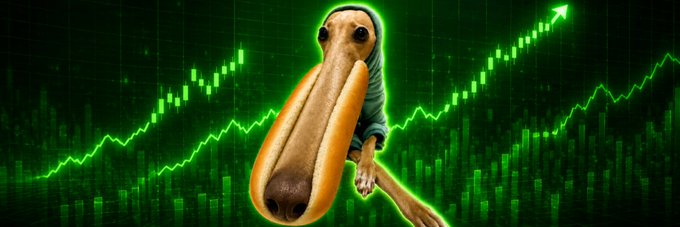 A dog-like figure with an elongated snout is centered against a green stock chart background featuring upward-trending candlestick graphs and a rising arrow. The image serves as a banner for the Solana memecoin $HOOTLOOONG, visually representing the "hoot-long" name with its exaggerated muzzle in a bullish trading chart aesthetic.