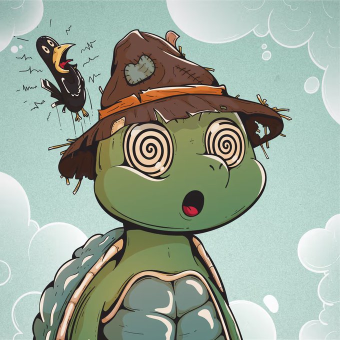 A cartoon illustration features a green turtle with spiral-patterned eyes wearing a tattered hat with a small black bird perched on top.