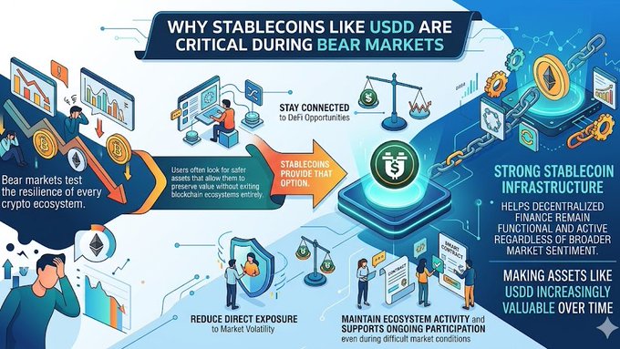The image features a graphic representation of the cryptocurrency market during bear markets. The main visual element includes various icons representing different aspects of the cryptocurrency ecosystem, such as coins, users' activities (like trading), transactions, exchanges, wallets, and blockchains. Below the graph, there is a caption stating that stablecoins like USDD are critical during bear markets, which helps explain why these types of coins are important for maintaining stability in the market.