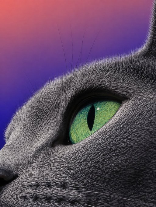 A close-up of a cat's face showing one striking green eye against a vibrant pink-to-purple gradient background.