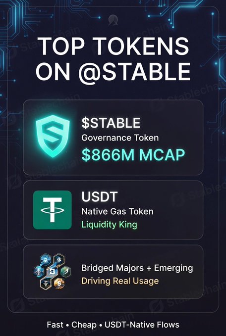 A promotional graphic for Stablechain highlighting the "Top Tokens on @Stable," featuring $STABLE as the Governance Token with an $866M market cap, USDT as the native gas and "Liquidity King," and bridged major and emerging tokens, all tied to the tagline "Fast • Cheap • USDT-Native Flows."