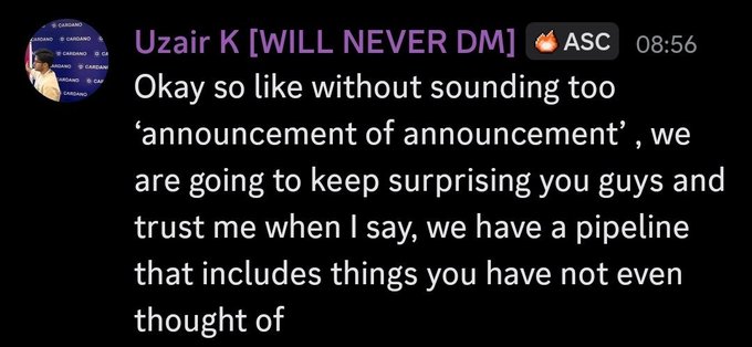 A screenshot of a Discord message from a user named 'Uzair K [WILL NEVER DM]' at 08:56 reading: 'Okay so like without sounding too announcement of announcement, we are going to keep surprising you guys and trust me when I say, we have a pipeline that includes things you have not even thought of.'