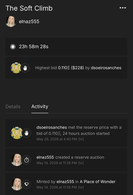 The image shows a cell phone screen filled with text and photos, likely from an auction where a woman named @dsoeirosanchos has placed a bid for "The Soft Climb" or a similar product. She was successful, and now she is waiting to see if her bid will be successful in acquiring the item. The post also mentions that the person who left the message wants to thank you for your support with this auction process.