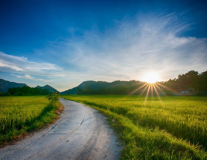 A peaceful countryside road stretches toward the sunrise over lush green rice fields, with the sun's golden rays casting a warm glow across the open landscape as a new day begins. The serene dawn scene perfectly captures the hopeful spirit of embarking on a fresh journey toward new goals, much like the post's message of starting anew and choosing a beautiful path forward.