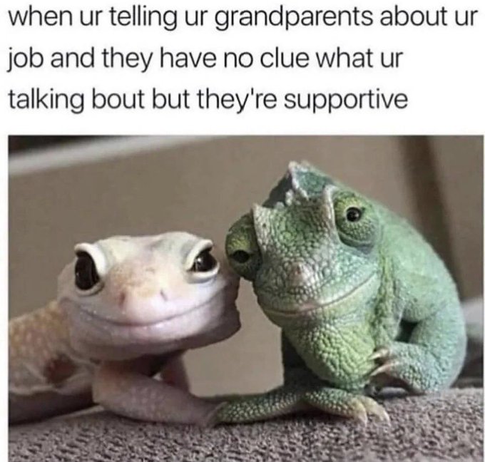 A meme captioned 'when ur telling ur grandparents about ur job and they have no clue what ur talking bout but they're supportive,' featuring two smiling lizards sitting close together.