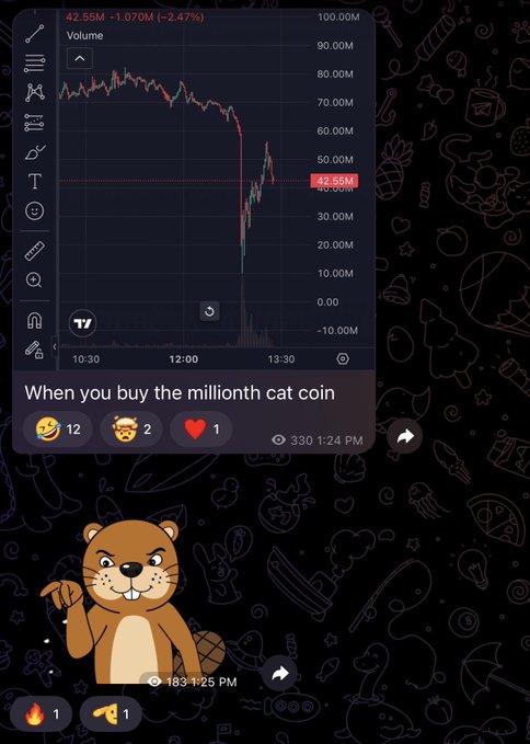 A screenshot from a messaging app shows a trading chart where "Volume" is displayed, with the value dropping sharply to 42.55M (-1.070M, -2.47%). Below the chart, a message reads "When you buy the millionth cat coin," paired with a cartoon beaver meme, humorously reflecting the post's lament about losing money on yet another meme coin investment.