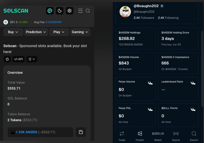 Solscan wallet overview for @Bvaughn202 showing $268.92 in $ANSEM holdings (753.785208 ANSEM), $843 volume on Bullpen, and a total portfolio value of $553.71 with 1.55K ANSEM.