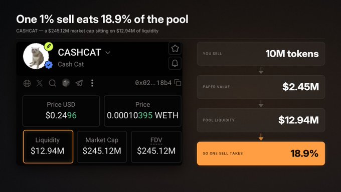 Screenshot of a CASHCAT token analysis page showing 'One 1% sell eats 18.9% of the pool', with a $245.12M market cap sitting on $12.94M of liquidity, demonstrating that selling 10M tokens ($2.45M) would consume 18.9% of the pool.