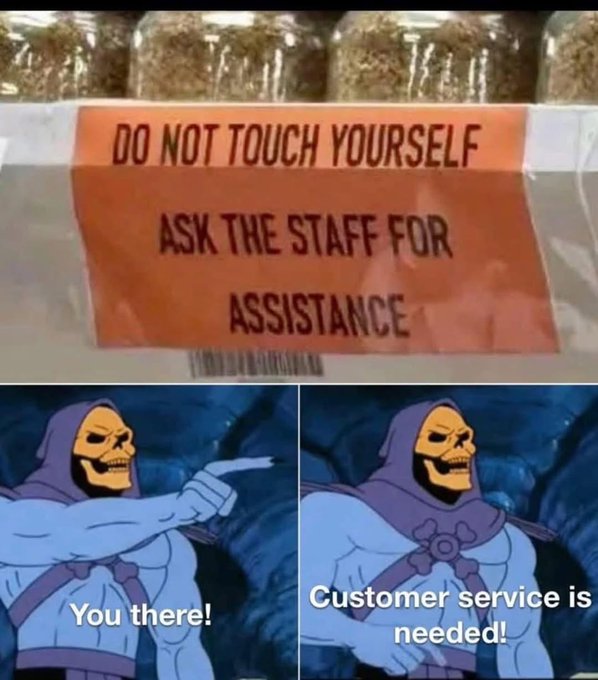 An orange store sign reads "DO NOT TOUCH YOURSELF / ASK THE STAFF FOR ASSISTANCE," placed above two Skeletor meme panels captioned "You there!" and "Customer service is needed!" — humorously depicting Skeletor as an employee dutifully heeding the sign's instruction. 

The post's playful "onchain for everyone, in plain words" message aligns with the meme's tone of over-the-top customer service, suggesting that no question is too awkward or basic for the project ($MfT) to address, with the Skeletor skit poking fun at overly earnest support vibes in crypto communities.