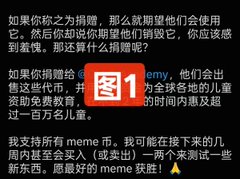 A screenshot of Chinese text discussing meme coins and a "meme skin" test, with the label "图1" (Figure 1) in a red box.