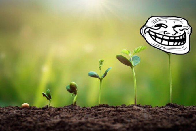 A sprouting seed grows progressively into larger seedlings in soil, culminating in a fully bloomed plant topped with the iconic "Trollface" meme, symbolizing the gradual but triumphant rise and lasting success of the $Troll token.