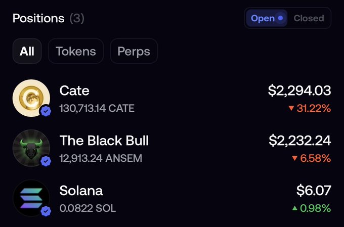 The image shows a portfolio tracking interface displaying 3 open positions: 130,713.14 CATE (valued at $2,294.03, down 31.22%), 12,913.24 ANSEM (The Black Bull, valued at $2,232.24, down 6.58%), and 0.0822 SOL (valued at $6.07, up 0.98%), which directly supports the post's claim about holding public positions in $Cate and $Ansem as narrative-based trades.