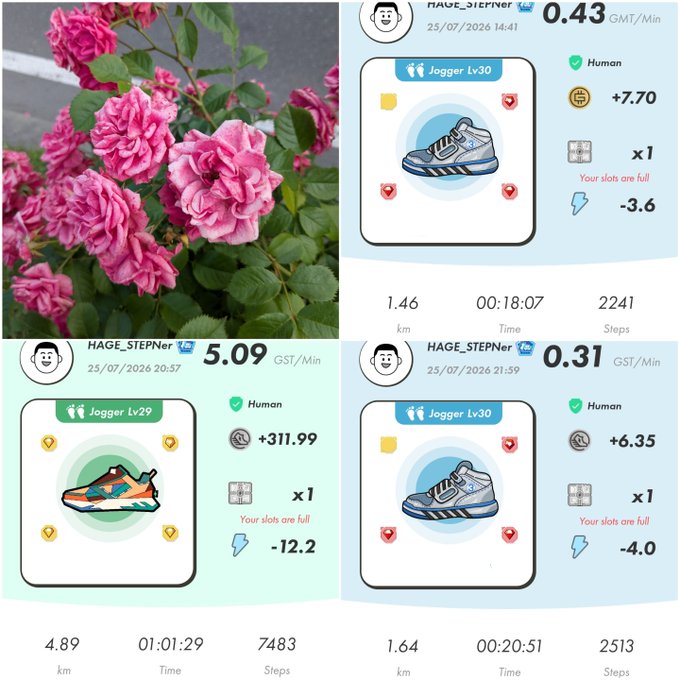 A collage showing pink roses on the left alongside three screenshots of a fitness app called 'Sweatcoin' featuring the user 'HAGE_STEPNER' displaying walking stats, sneaker collectibles at Lv29 and Lv30, and GST earning rates.