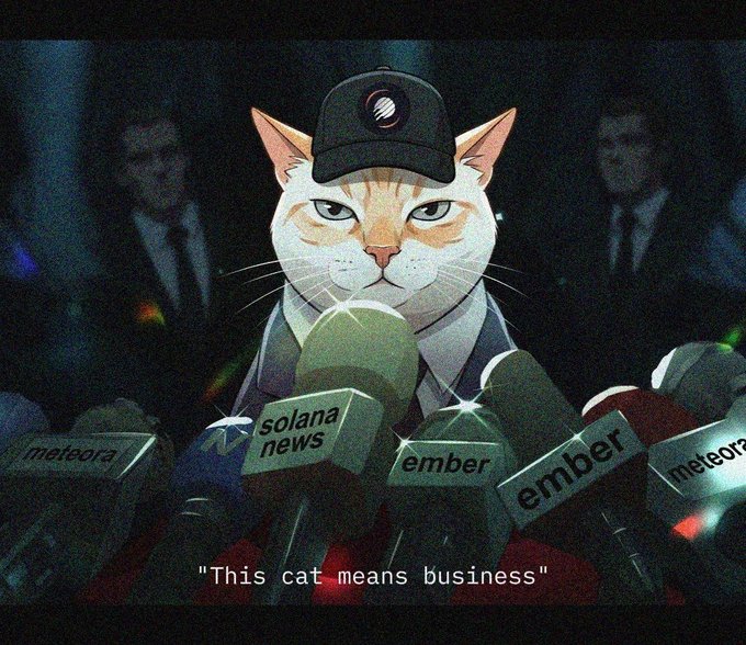 An illustration shows an orange cat wearing a cap surrounded by microphones labeled 'meteora', 'solana news', and 'ember', with the caption 'This cat means business'.