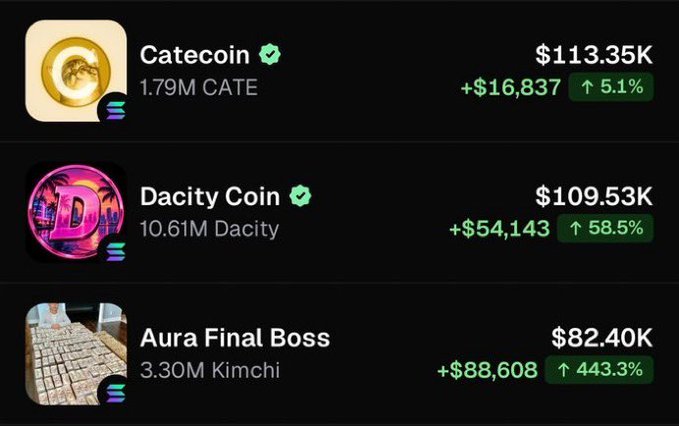 A cryptocurrency list shows Catecoin at “$113.35K” with “1.79M CATE” and “+$16,837 ↑ 5.1%,” Dacity Coin at “$109.53K” with “10.61M Dacity” and “+$54,143 ↑ 58.5%,” and Aura Final Boss at “$82.40K” with “3.30M Kimchi” and “+$88,608 ↑ 443.3%.”