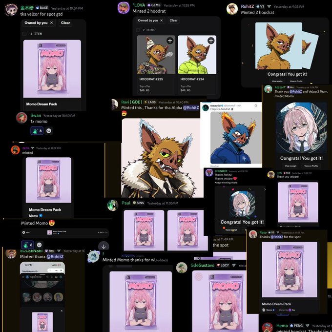 A collage of social media posts (Discord/Twitter) celebrating NFT mints, featuring digital art cards of pink-haired anime 'Momo Dream Pack' characters and anthropomorphic hoodrat avatars.