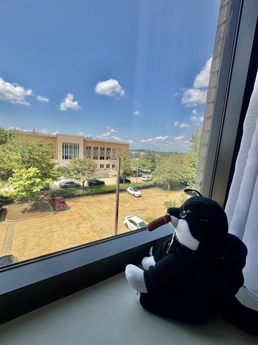 A small black and white stuffed bear sits on a windowsill, gazing out at a sunny view of a parking lot, office buildings, and a blue sky with scattered clouds.