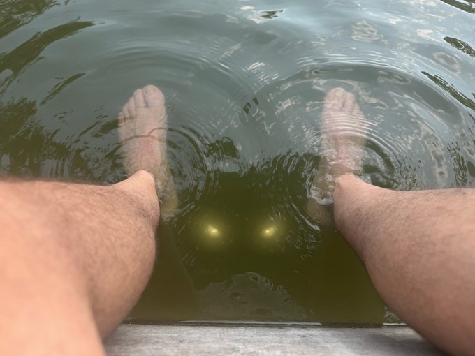A person's feet and legs are seen dangling in murky green water, creating ripples on the surface.