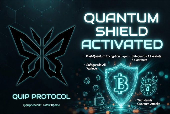 A promotional graphic for "QUIP PROTOCOL" (@quipnetwork) announcing that "QUANTUM SHIELD ACTIVATED" with a post-quantum encryption layer that safeguards all wallets, contracts, and withstands quantum attacks, featuring a shield with a Bitcoin symbol and a "Quantum Doom Clock" ticking nearby—visually reinforcing the post's warning about quantum computing threats to current cryptography and positioning Quip as the protective solution.
