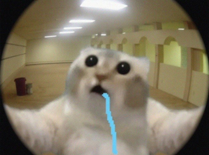 A close-up, fisheye-lens photo of a white cat with digitally enlarged, glossy black eyes and a blue cartoon drip effect edited over its mouth.