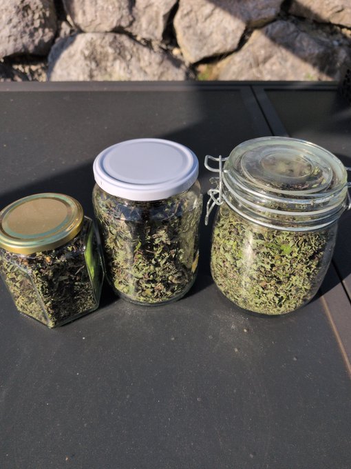 Three glass jars of varying sizes containing dried green herbs sit on a dark table outdoors with a stone wall in the background.