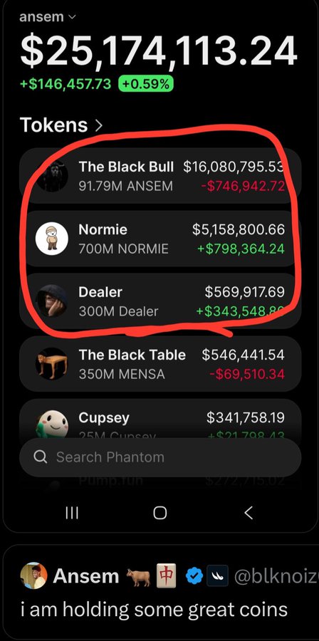 The image shows a Phantom wallet displaying $25,174,113.24 in assets, with three tokens circled in red: The Black Bull ($16,080,795.53, down $746,942.72), Normie ($5,158,800.66, up $798,364.24), and Dealer ($569,917.69, up $343,548.89). The wallet belongs to "Ansem" (@blknoiz) who posted "i am holding some great coins," directly illustrating the post's claim of $DEALER doubling and $NORMIE's strong performance as evidence of the dev's track record and major whale accumulation.