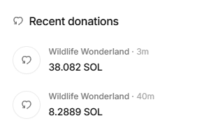 A 'Recent donations' section showing two donations to 'Wildlife Wonderland' of 38.082 SOL and 8.2889 SOL.