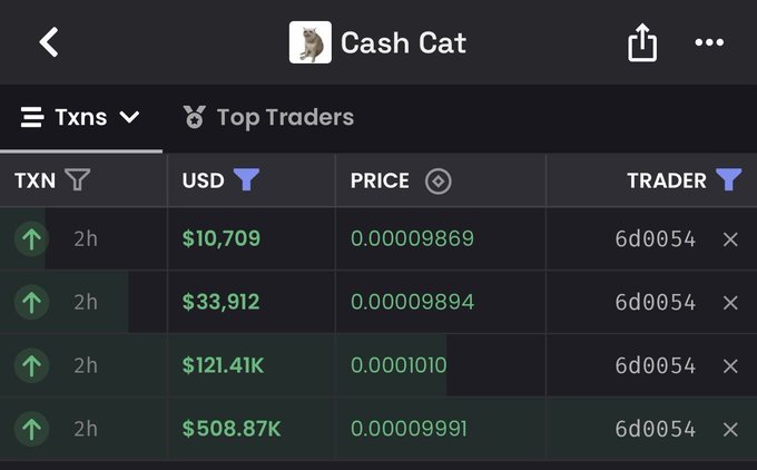 A 'Cash Cat' meme token trading page displays recent buy transactions on a decentralized exchange, with USD values ranging from $10,709 to $508.87K, all from trader 6d0054, at prices around 0.000098-0.000101.